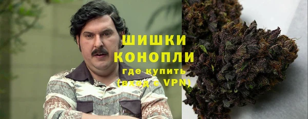 стаф Усмань