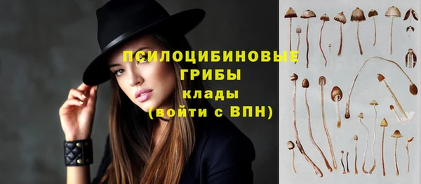 стаф Усмань