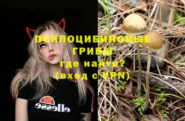 стаф Усмань