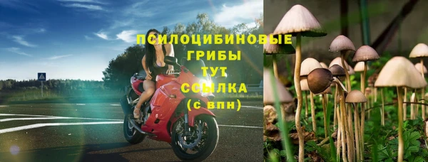 стаф Усмань
