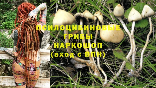 стаф Усмань