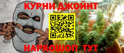 спайс Берёзовский