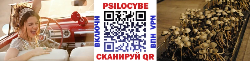 hydra как войти Нефтекамск Псилоцибиновые грибы мицелий