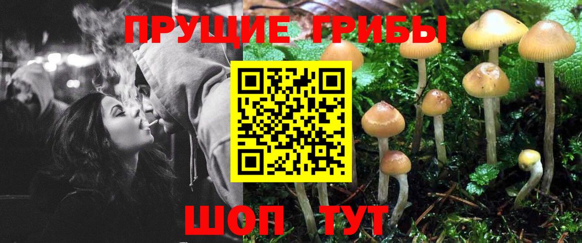 Псилоцибиновые грибы прущие грибы  Вход с VPN  Галлюциногенные грибы Psilocybe  Нефтекамск 