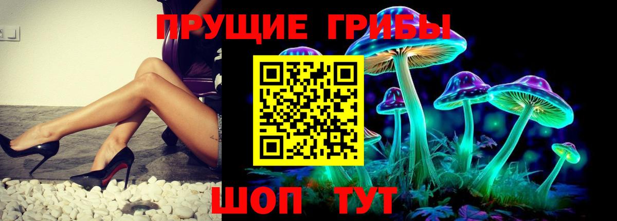 Галлюциногенные грибы Psilocybe Нефтекамск